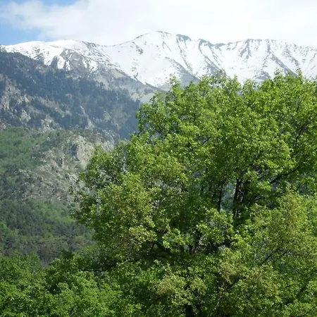 Les Balcons Du Canigou Tatil Evi Vernet-les-Bains